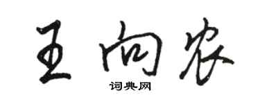 骆恒光王向农行书个性签名怎么写
