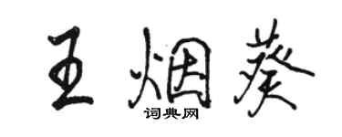 骆恒光王烟葵行书个性签名怎么写