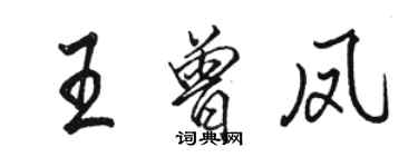 骆恒光王曾凤行书个性签名怎么写