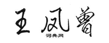 骆恒光王凤曾行书个性签名怎么写