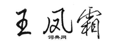 骆恒光王凤霜行书个性签名怎么写