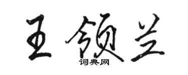 骆恒光王领兰行书个性签名怎么写