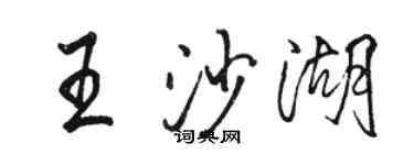 骆恒光王沙湖行书个性签名怎么写