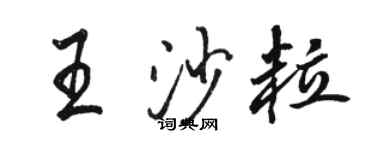 骆恒光王沙粒行书个性签名怎么写