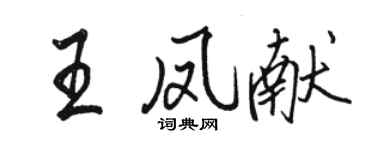 骆恒光王凤献行书个性签名怎么写