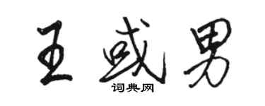骆恒光王或男行书个性签名怎么写