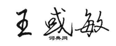 骆恒光王或敏行书个性签名怎么写