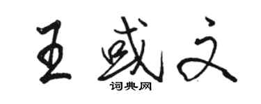 骆恒光王或文行书个性签名怎么写