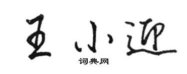 骆恒光王小迎行书个性签名怎么写