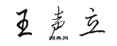 骆恒光王声立行书个性签名怎么写
