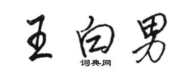 骆恒光王白男行书个性签名怎么写