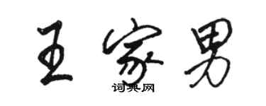 骆恒光王家男行书个性签名怎么写
