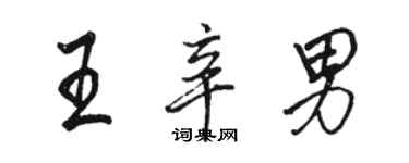 骆恒光王辛男行书个性签名怎么写