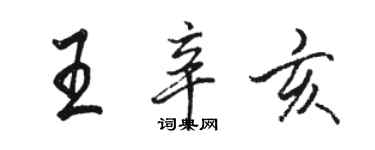 骆恒光王辛亥行书个性签名怎么写
