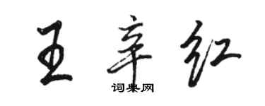 骆恒光王辛红行书个性签名怎么写