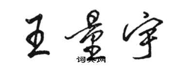 骆恒光王量宇行书个性签名怎么写
