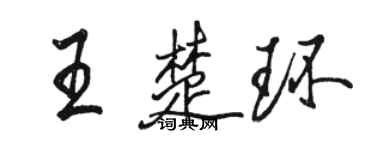 骆恒光王楚环行书个性签名怎么写