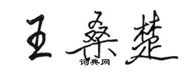 骆恒光王桑楚行书个性签名怎么写