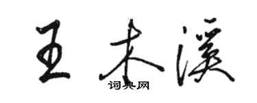骆恒光王木溪行书个性签名怎么写