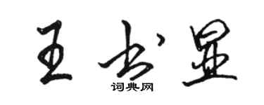 骆恒光王书显行书个性签名怎么写