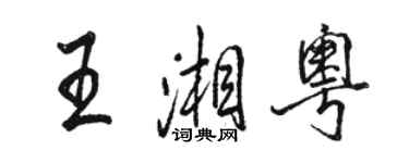 骆恒光王湘粤行书个性签名怎么写