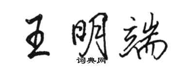 骆恒光王明端行书个性签名怎么写
