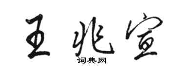 骆恒光王兆宣行书个性签名怎么写