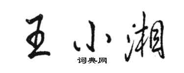 骆恒光王小湘行书个性签名怎么写