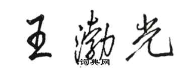 骆恒光王渤光行书个性签名怎么写