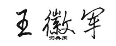 骆恒光王徽军行书个性签名怎么写