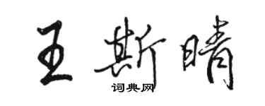 骆恒光王斯晴行书个性签名怎么写
