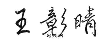 骆恒光王彰晴行书个性签名怎么写