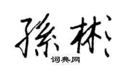 王正良孙彬行书个性签名怎么写