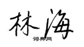 王正良林海行书个性签名怎么写