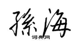 王正良孙海行书个性签名怎么写