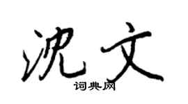 王正良沈文行书个性签名怎么写