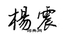 王正良杨震行书个性签名怎么写