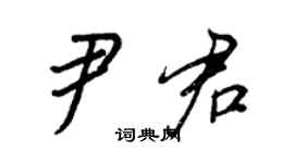 王正良尹君行书个性签名怎么写