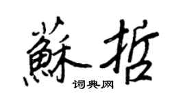 王正良苏哲行书个性签名怎么写