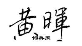 王正良黄晖行书个性签名怎么写