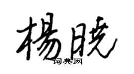 王正良杨晓行书个性签名怎么写