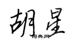 王正良胡星行书个性签名怎么写