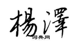 王正良杨泽行书个性签名怎么写