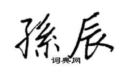 王正良孙辰行书个性签名怎么写