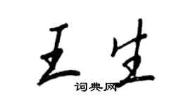 王正良王生行书个性签名怎么写