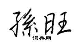 王正良孙旺行书个性签名怎么写