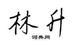 王正良林升行书个性签名怎么写