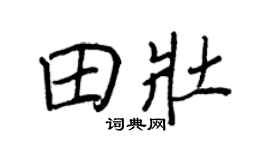 王正良田壮行书个性签名怎么写