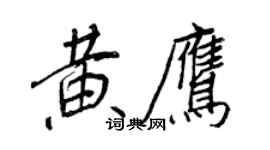 王正良黄鹰行书个性签名怎么写