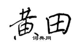 王正良黄田行书个性签名怎么写